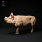 Productfoto dierenfiguur Animal Den Miniatures 1: boerderijdierenfiguur: Berkshire-beer (24_01_64)