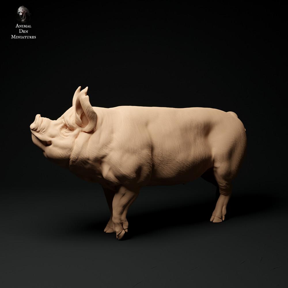 Productfoto dierenfiguur Animal Den Miniatures 1: boerderijdierenfiguur: Berkshire-beer (24_01_64)
