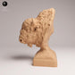 Productfoto 0: Wild dierfiguur: Amerikaanse bizon - buste (25_09_06)