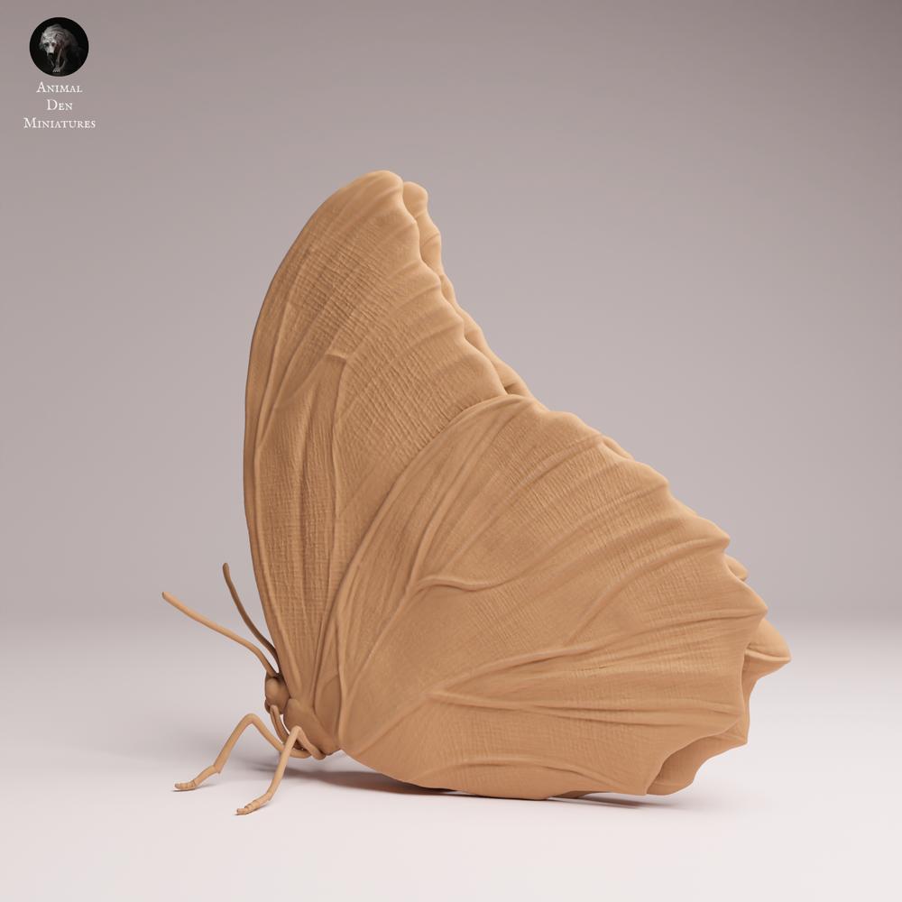 Productfoto Tabletop 28mm Lord of the Print (LotP) 0: Insect Dierfiguur: Blauwe Morphofalter - Vleugels gesloten