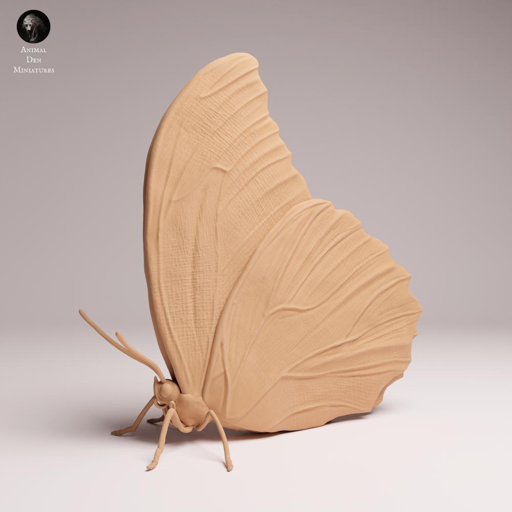 Productfoto Tabletop 28mm Lord of the Print (LotP) 2: Insect Dierfiguur: Blauwe Morphovlinder - Vleugels gesloten