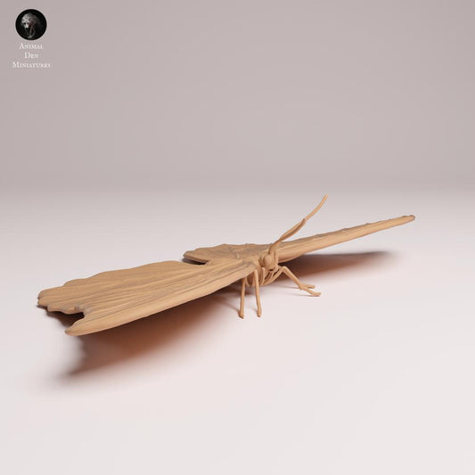 Productfoto Tabletop 28mm Lord of the Print (LotP) 0: Insect Dierfiguur: Blauwe Morphofalter - Vleugels uitgespreid