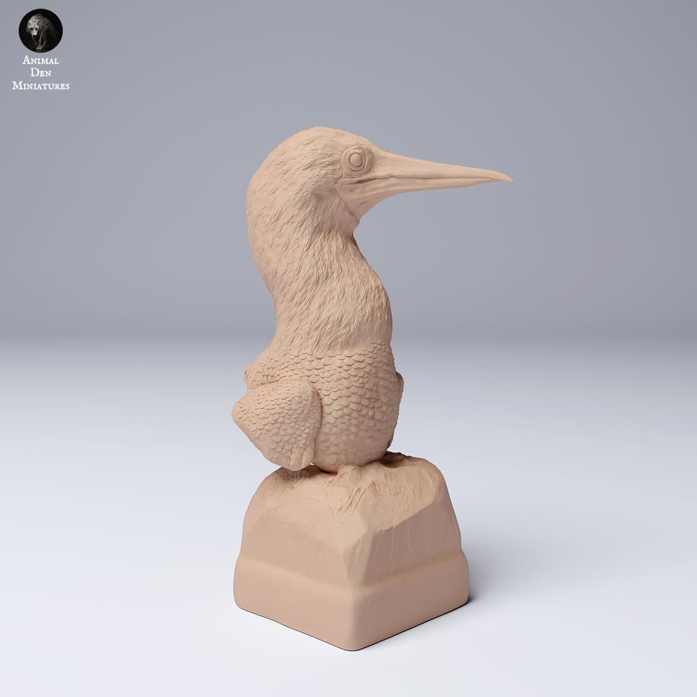Produktfoto 2: Meeresvogel Tierfigur: Blaufußtölpel - Büste (24_08_02)