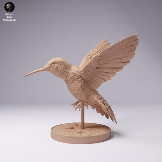 Productfoto 0: Vogel dierenfiguur: breedstaartkolibrie (25_01_08)
