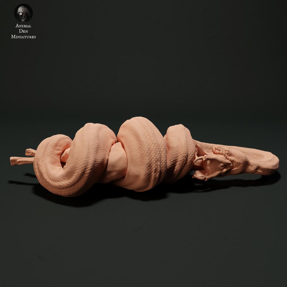 Productfoto dierenfiguur Animal Den Miniatures 1: Reptielen dierenfiguur: Donkere tijgerpython - eet een muntjak (23_05_11)