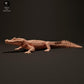 Productfoto dierenfiguur Animal Den Miniatures 1: reptielenfiguur: zwarte kaaiman - zonnend (23_06_07)