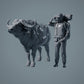 Afrikaanse Buffel - Dieren van de Savanne (23_02_07)