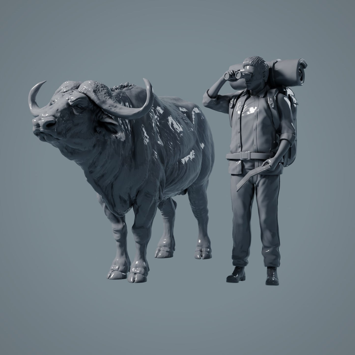Afrikaanse Buffel - Dieren van de Savanne (23_02_07)