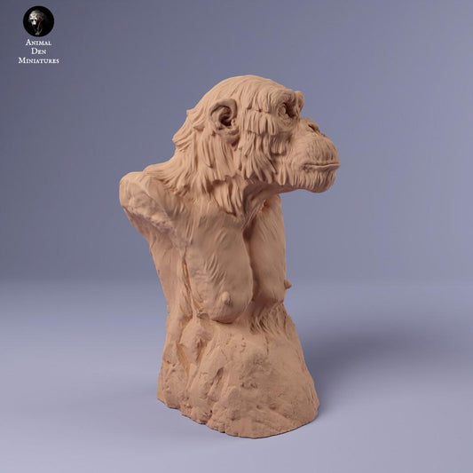 Productfoto dierenfiguur Animal Den Miniatures 0: Dierenfiguur uit de jungle: Gewone chimpansee - buste (24_02_17)