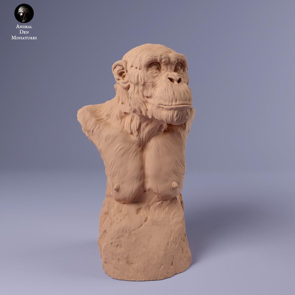 Productfoto dierenfiguur Animal Den Miniatures 1: Dierenfiguur uit de jungle: gewone chimpansee - buste (24_02_17)