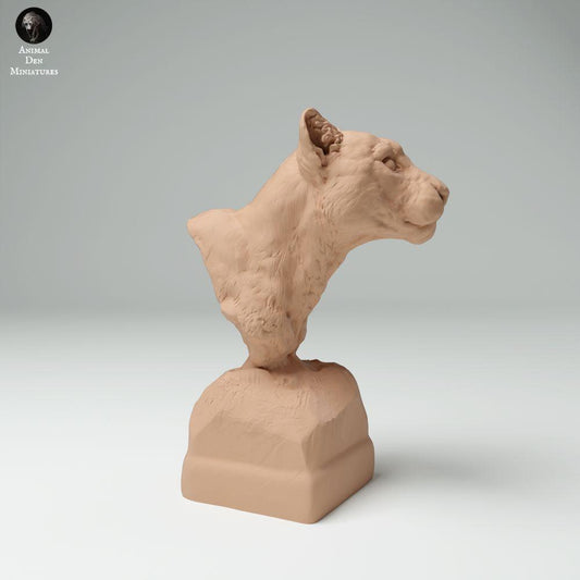 Productfoto 0: Wildtier dierenfiguur: nevelpanter - buste (25_02_05)
