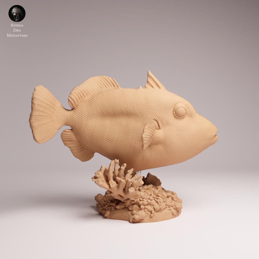 Productfoto 1: Zeedier dierenfiguur: Clown-trekkervis (25_10_07)