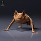 Productfoto dierenfiguur Animal Den Miniatures 6: vleermuisfiguur: gewone vampier - gehurkt (26_10_04)