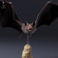 Productfoto dierenfiguur Animal Den Miniatures 6: Vleermuisfiguur: gewone vampier - vliegend (26_10_03)