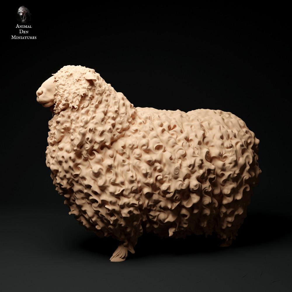 Productfoto dierenfiguur Animal Den Miniatures 0: Boerderijdierenfiguur: Devon-en-Cornwall-langwolram (24_01_61)