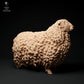 Productfoto dierfiguur Animal Den Miniatures 1: Boerderijdierfiguur: Devon-en-Cornwall-langwolram (24_01_61)