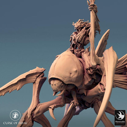 Productfoto Tabletop 28mm Lord of the Print (LotP) 0: Tabletop Miniatuur: Insectenrijder op Vleugelmantis, Zwermheks/Pestsjamaan met Staf, Mantidenkavallerie Bossmonster (24_07_D1)
