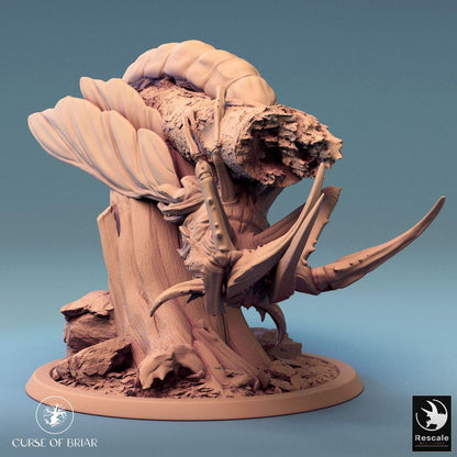 Productfoto Tabletop 28mm Lord of the Print (LotP) 0: Fantasy Figuur: Reuzenkever-Monster, Scharabäus-Baas, insectachtige Bosbeest (24_07_E2)