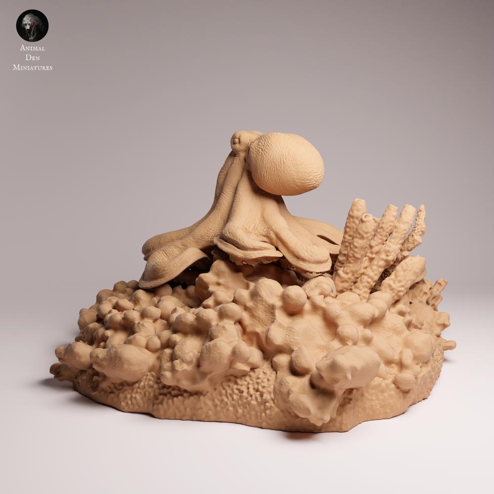 Productfoto 1: zeedier dierenfiguur: dagoctopus (25_10_05)