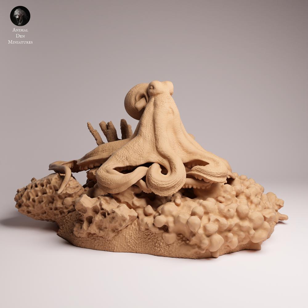 Productfoto 2: zeedierfiguur: dagoctopus (25_10_05)