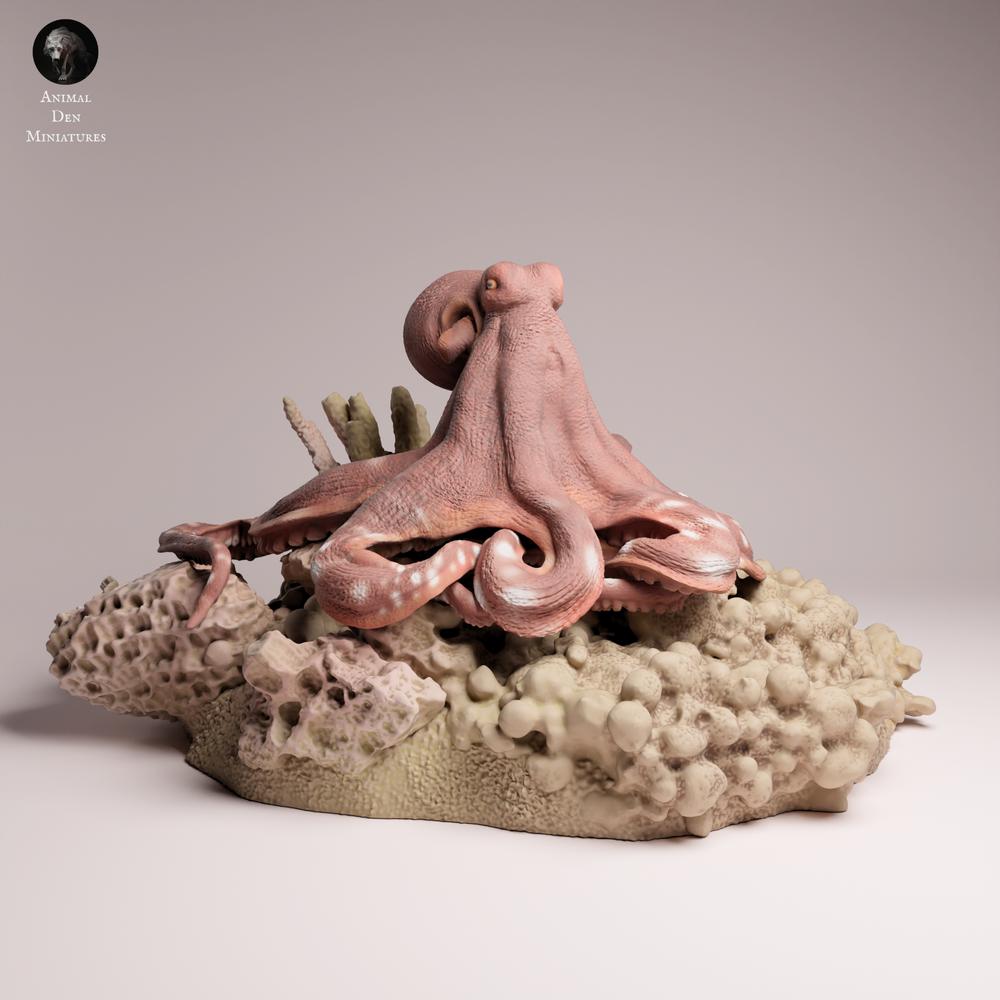 Productfoto 3: zeedierfiguur: dagoctopus (25_10_05)