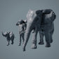 Afrikaanse olifantenkoe en kalf - Dieren van de savanne (23_02_04)