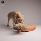 Productfoto Tabletop 28mm Lord of the Print (LotP) 3: Wilddier dierenfiguur: Euraziatische lynx met prooi (26_07_03)