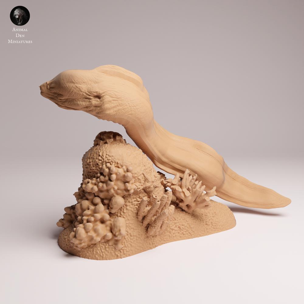 Productfoto 0: Zeedierfiguur: reuzenmurene - zwemmend (25_10_04)