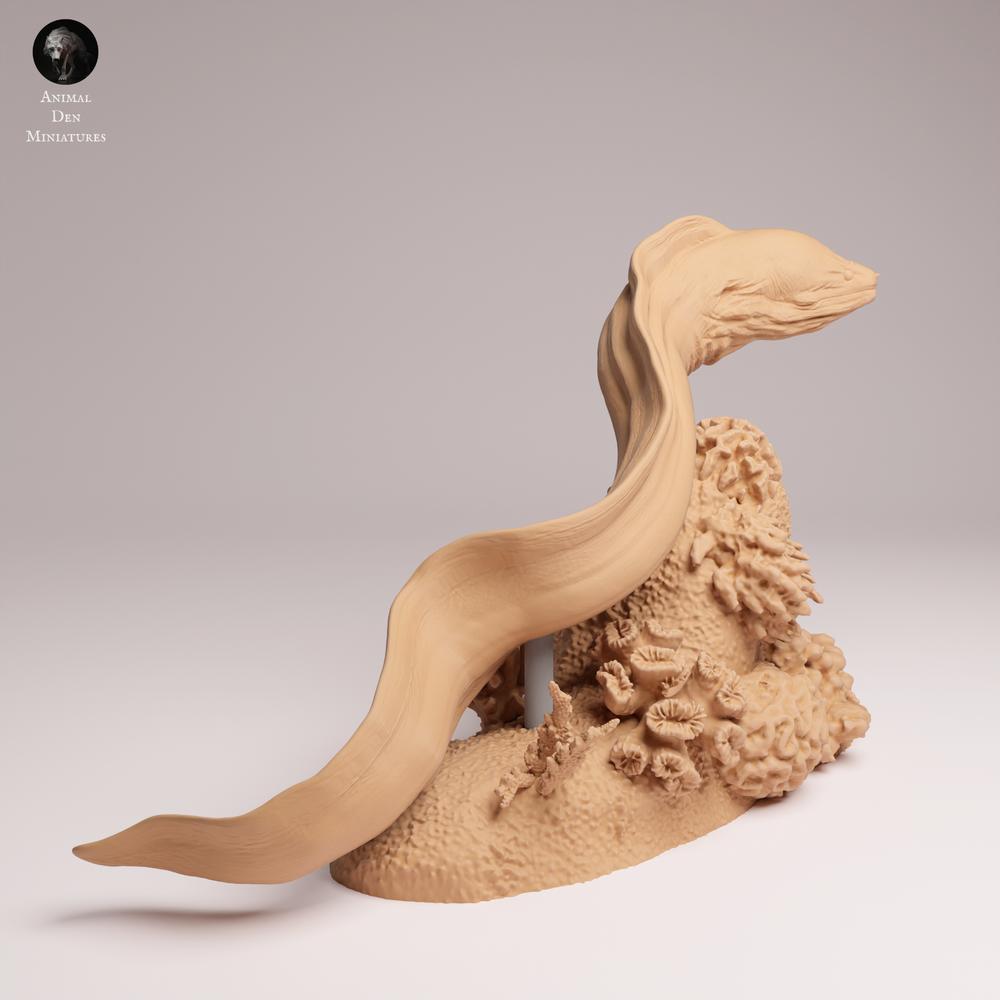 Productfoto 1: Zeedier dierenfiguur: Reuzenmurene - zwemmend (25_10_04)