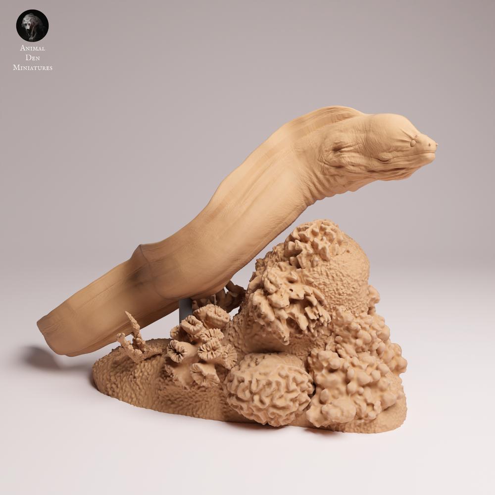 Productfoto 2: zeedierfiguur: reuzenmurene - zwemmend (25_10_04)