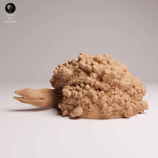 Productfoto 0: Zeedier dierenfiguur: reuzenmurene in zijn hol (25_10_03)