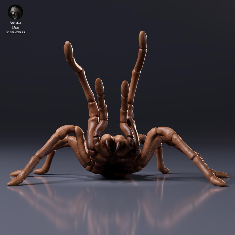 Productfoto van dierenfiguur Animal Den Miniatures 6: spinachtige figuur: Goliathvogelspin - dreighouding (26_10_02)