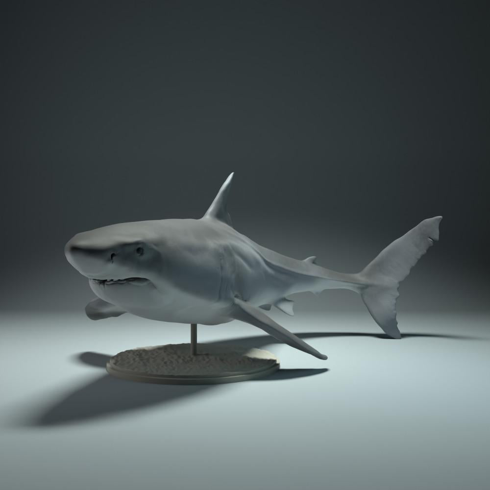 Productfoto dierenfiguur Animal Den Miniatures 0: zeedierfiguur: witte haai (22_09_02)
