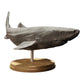 Productfoto diorama en modelbouw miniatuurfiguur: haai dierenfiguur: Groenlandse haai / ijshaai