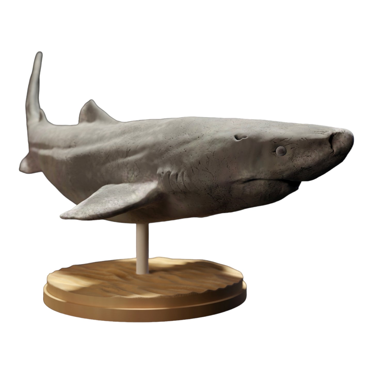 Productfoto diorama en modelbouw miniatuurfiguur: haai dierenfiguur: Groenlandse haai / ijshaai