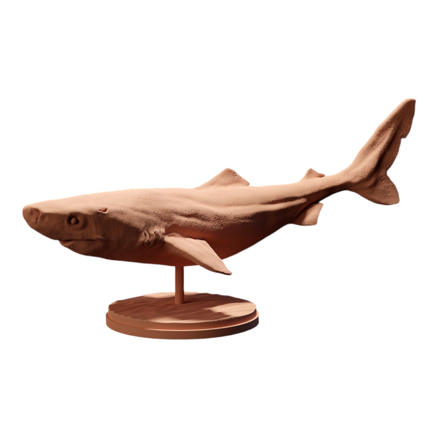 Productfoto diorama en modelbouw miniatuurfiguur: haai dierenfiguur: Groenlandse haai / ijshaai