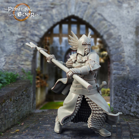Produktfoto mittelalterliche historische Figur 75mm Scale The Printing Goes Ever On (TPGEO)  0: Mittelalterliche Ritter Figuren Burgwache C Krieger von Gonthan