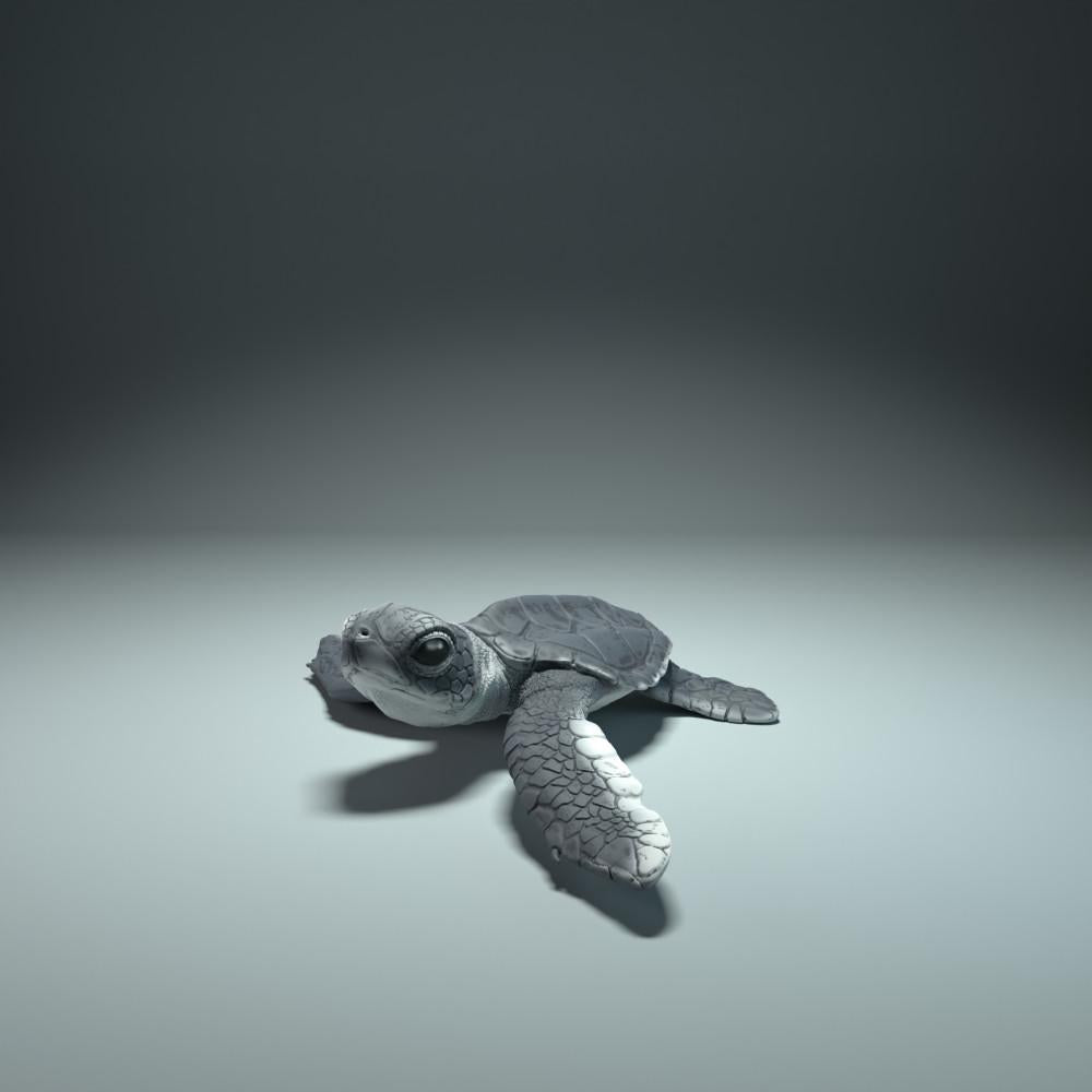 Productfoto dierenfiguur Animal Den Miniatures 3: zeedierfiguur: jonge zeeschildpad bij het uitkomen (21_12_01)