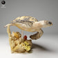 Productfoto dierenfiguur Animal Den Miniatures 2: zeedier dierenfiguur: echte karetschildpad - zwemmend (24_05_03)