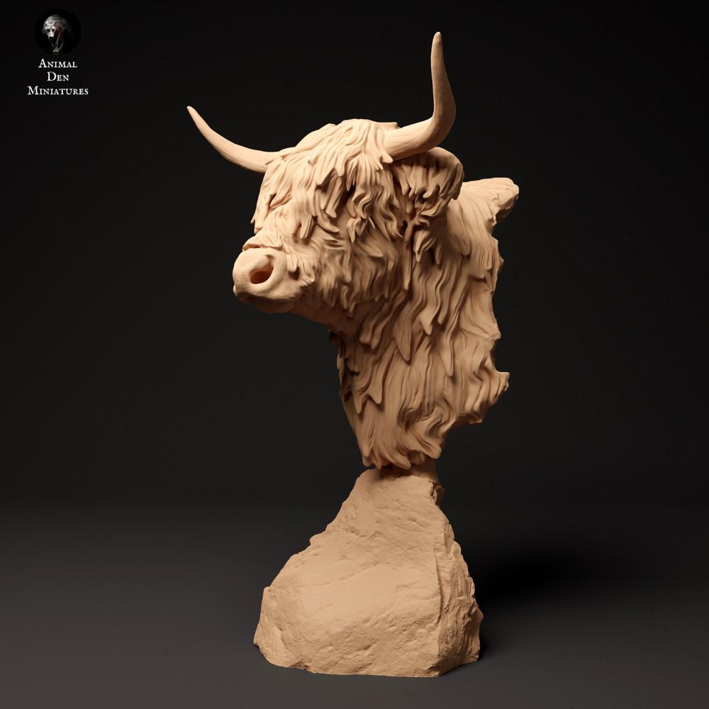 Produktfoto Tierfigur Animal Den Miniatures 0: Bauernhof Tierfigur: Schottisches Hochlandrind - Büste (24_01_60)