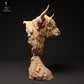 Produktfoto Tierfigur Animal Den Miniatures 1: Bauernhof Tierfigur: Schottisches Hochlandrind - Büste (24_01_60)