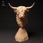 Produktfoto Tierfigur Animal Den Miniatures 2: Bauernhof Tierfigur: Schottisches Hochlandrind - Büste (24_01_60)