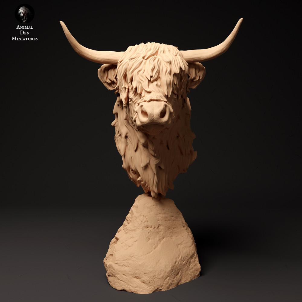 Produktfoto Tierfigur Animal Den Miniatures 2: Bauernhof Tierfigur: Schottisches Hochlandrind - Büste (24_01_60)