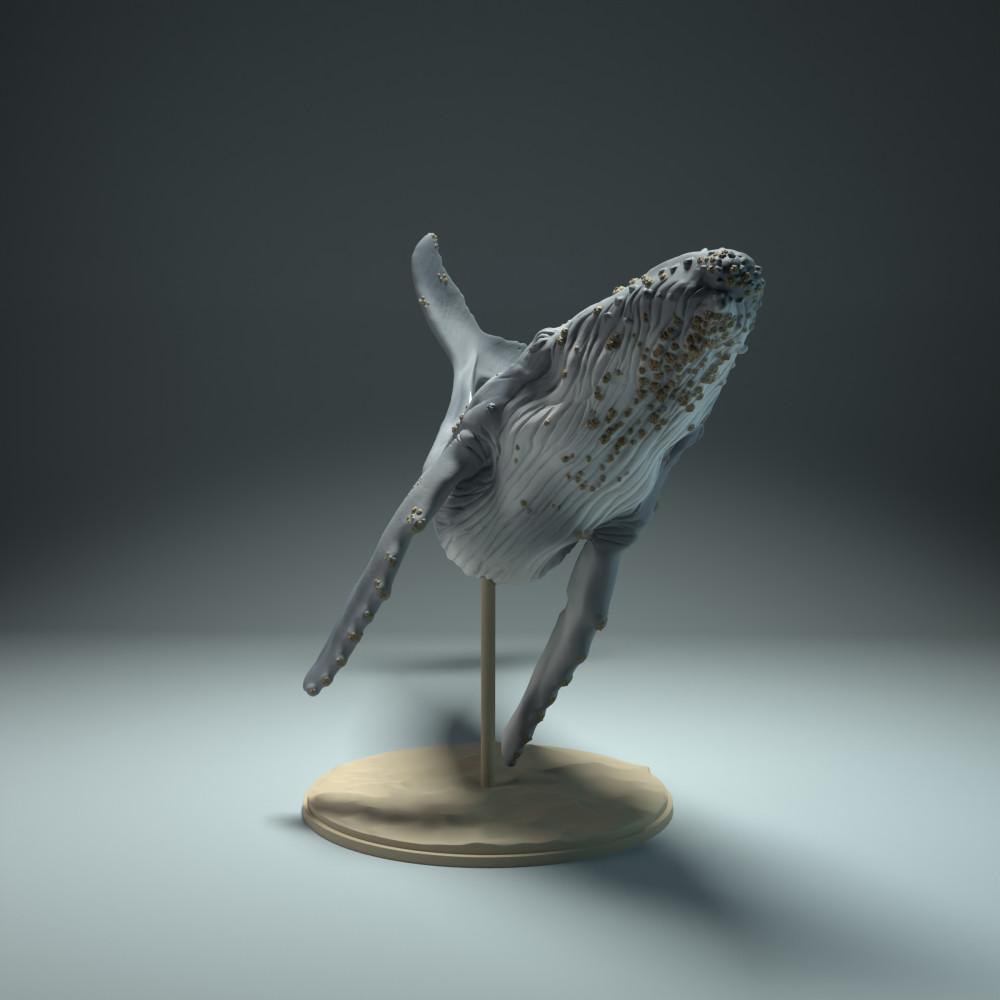 Productfoto dierenfiguur Animal Den Miniatures 0: Zeedierfiguur: bultrugwalvis (22_09_03)