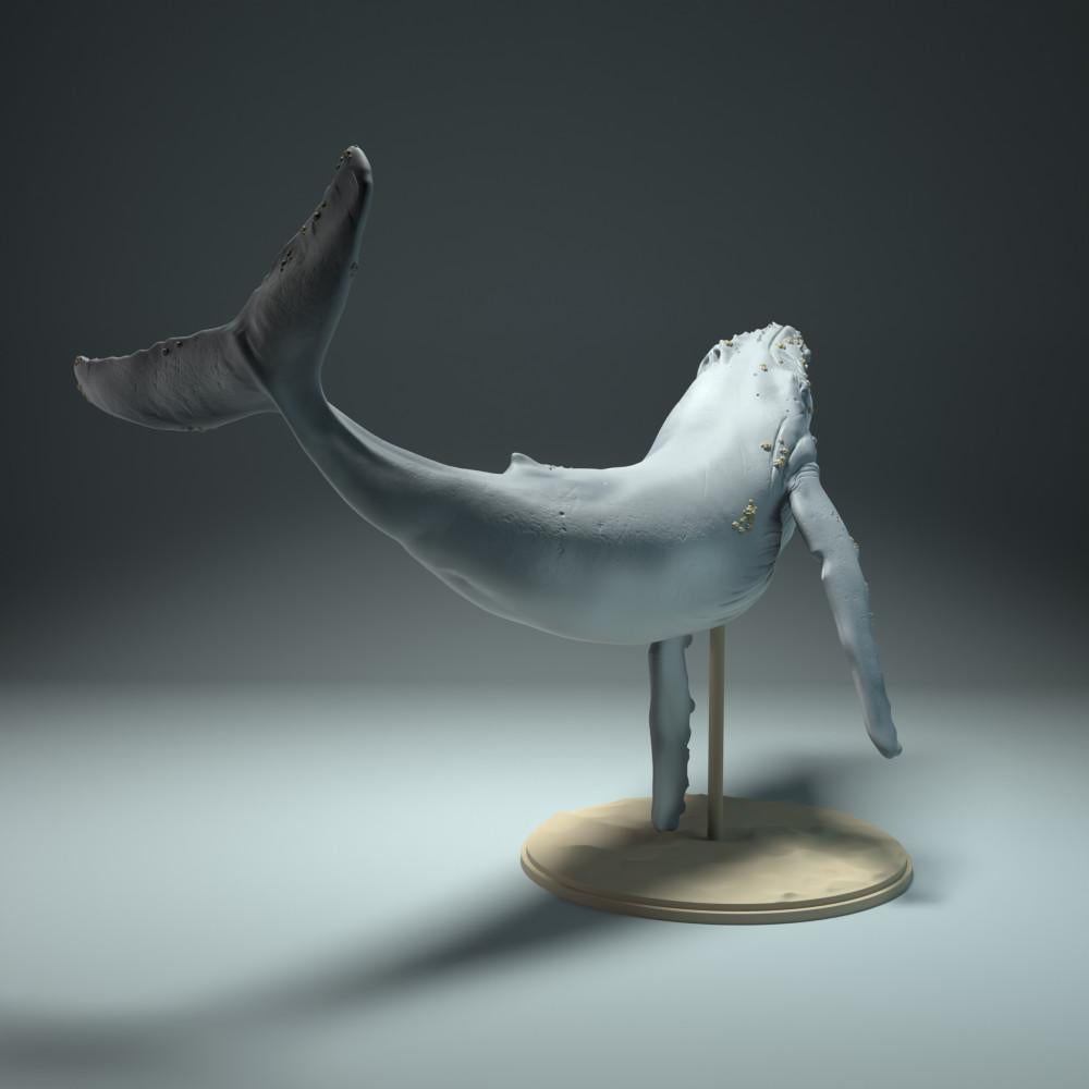 Productfoto dierenfiguur Animal Den Miniatures 2: zeedierfiguur: bultrugwalvis (22_09_03)