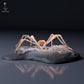 Productfoto dierfiguur Animal Den Miniatures 6: zeedierfiguur: Japanse reuzenkrab (26_09_05)