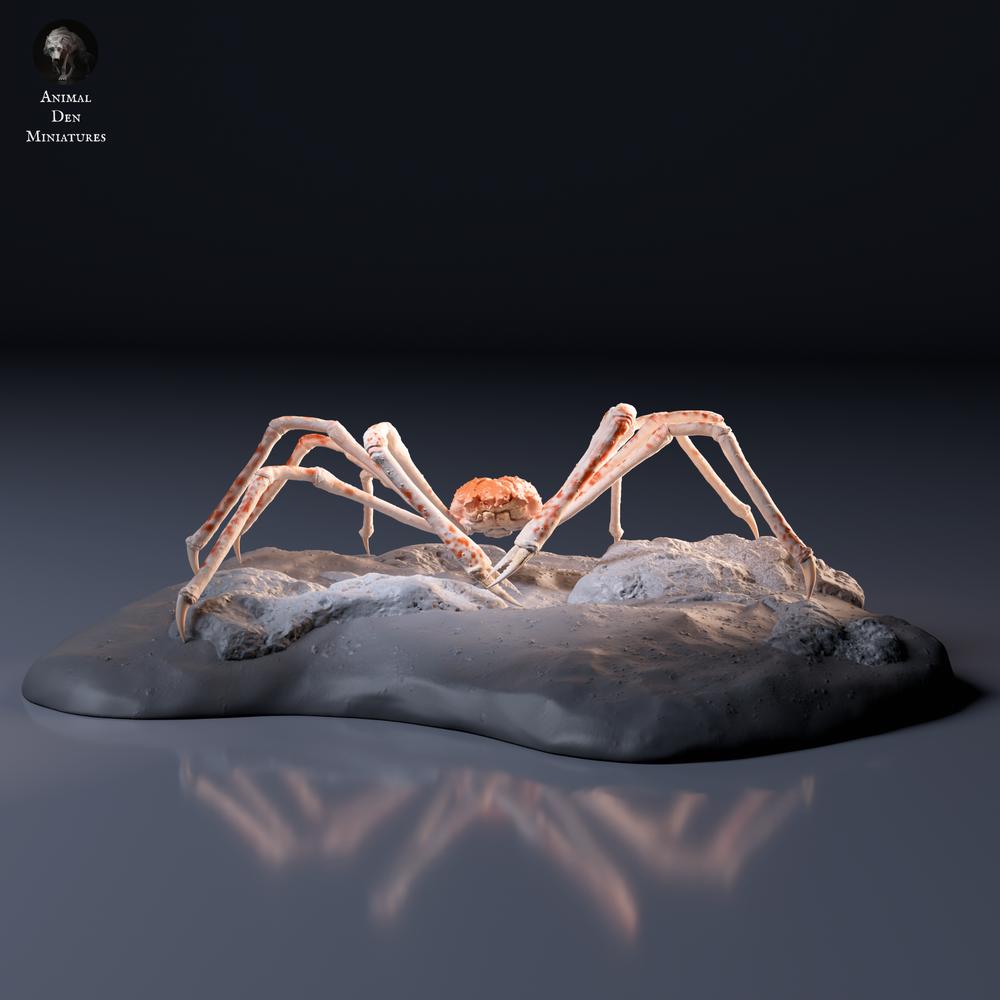 Productfoto dierfiguur Animal Den Miniatures 6: zeedierfiguur: Japanse reuzenkrab (26_09_05)