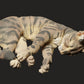 Productfoto Dier Figuur Diorama, Modelbouw: 0: Huisdier Figuur: slapende Kat