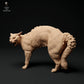 Productfoto Dierfiguur Diorama, Modelbouw: 0: Huisdierfiguur: Kat verzet zich