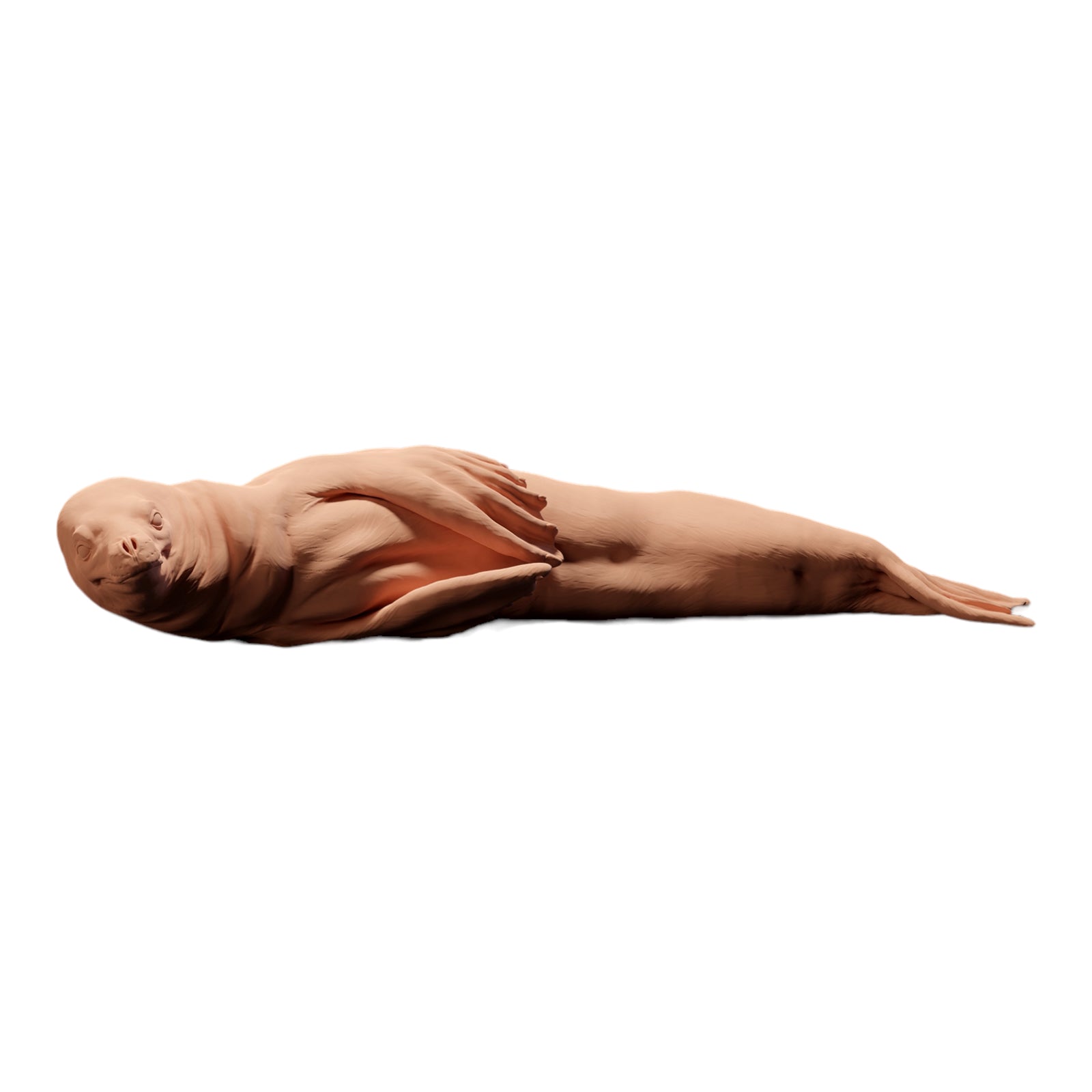 Productfoto Diorama en modelbouw miniatuurfiguur: liggende zeehond, dierenfiguur: zeehond